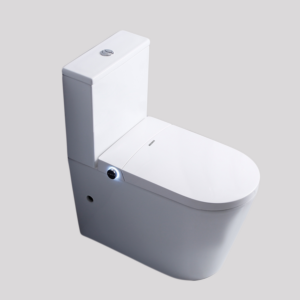 Smart Toilet Suites